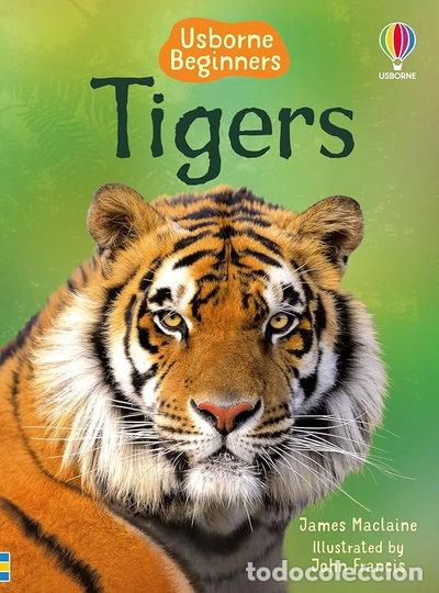 Libros: Tigers- 9781409530671 - Foto 1