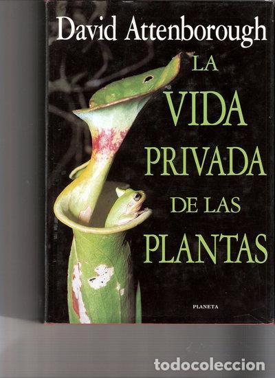 Libros: La vida privada de las plantas- 9788408015093 - Foto 1