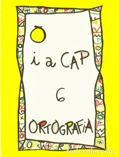 Libros: Punt i a cap 6. Ortografia- 9788478871063