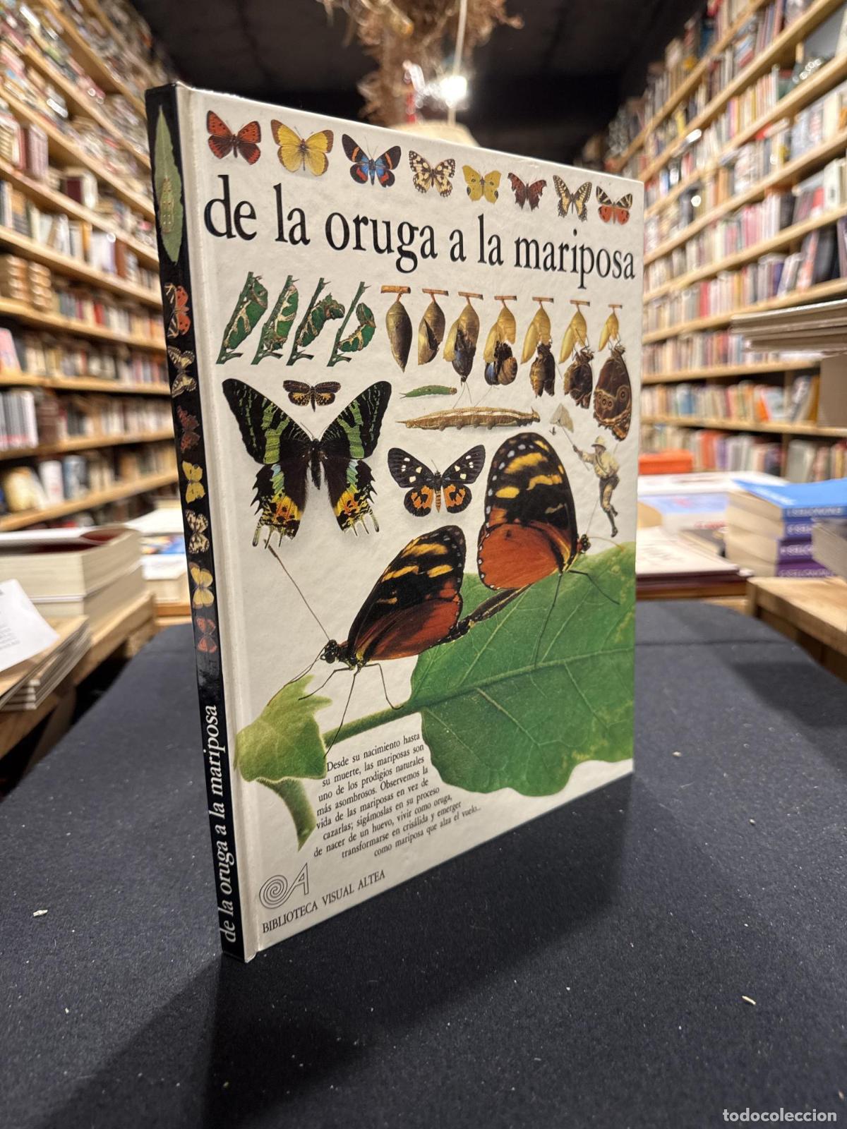 books: De la oruga a la mariposa - Paul Whalley