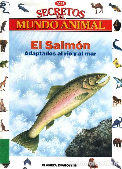 B&uuml;cher: El Salm&oacute;n: Adaptados al r&iacute;o y al mar- 9788439523888