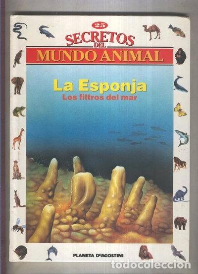 Livres: La Esponja: Los Filtros Del Mar- 9788439523840