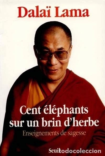 Libros: Cent &eacute;l&eacute;phants sur un brin d'herbe- 9782020115681