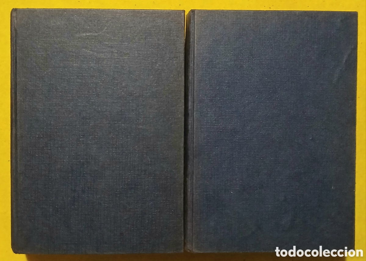 Libros: Los miserables, Victor Hugo - Foto 2