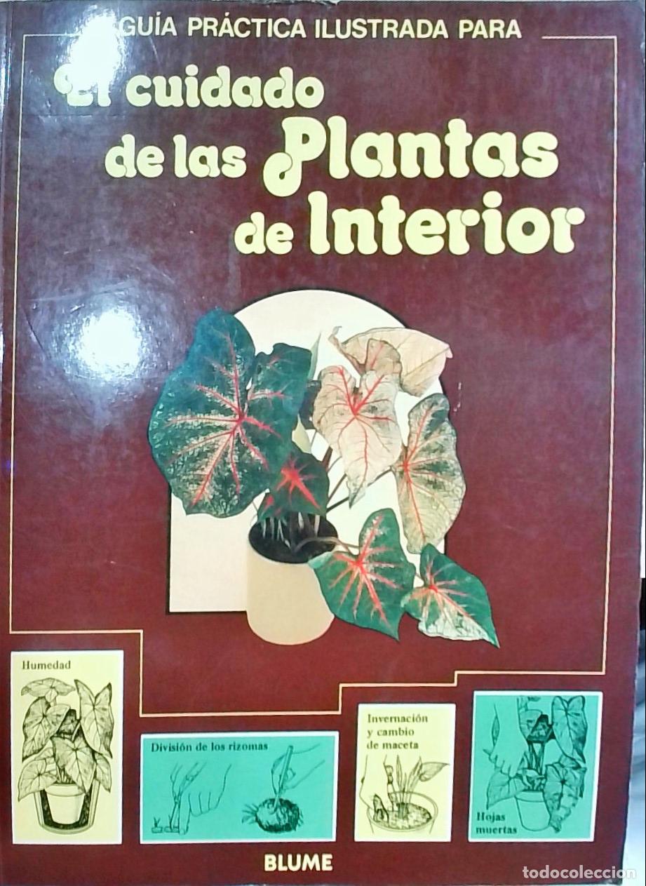 Libros: Gu&iacute;a pr&aacute;ctica ilustrada para el cuidado de las plantas de interior - HESSAYON, D. G.: - Foto 1