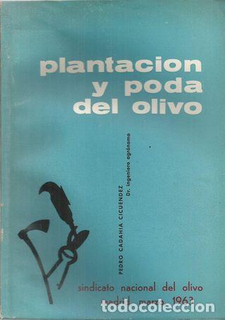 Livros em segunda m&atilde;o: PLANTACION Y PODA DEL OLIVO - CADAHIA CICUENDEZ, PEDRO