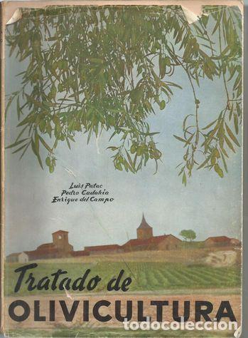 Livros em segunda m&atilde;o: TRATADO DE OLIVICULURA - PATAC, LUIS ;CADAHIA, PEDRO;CAMPO, ENRIQUE DEL