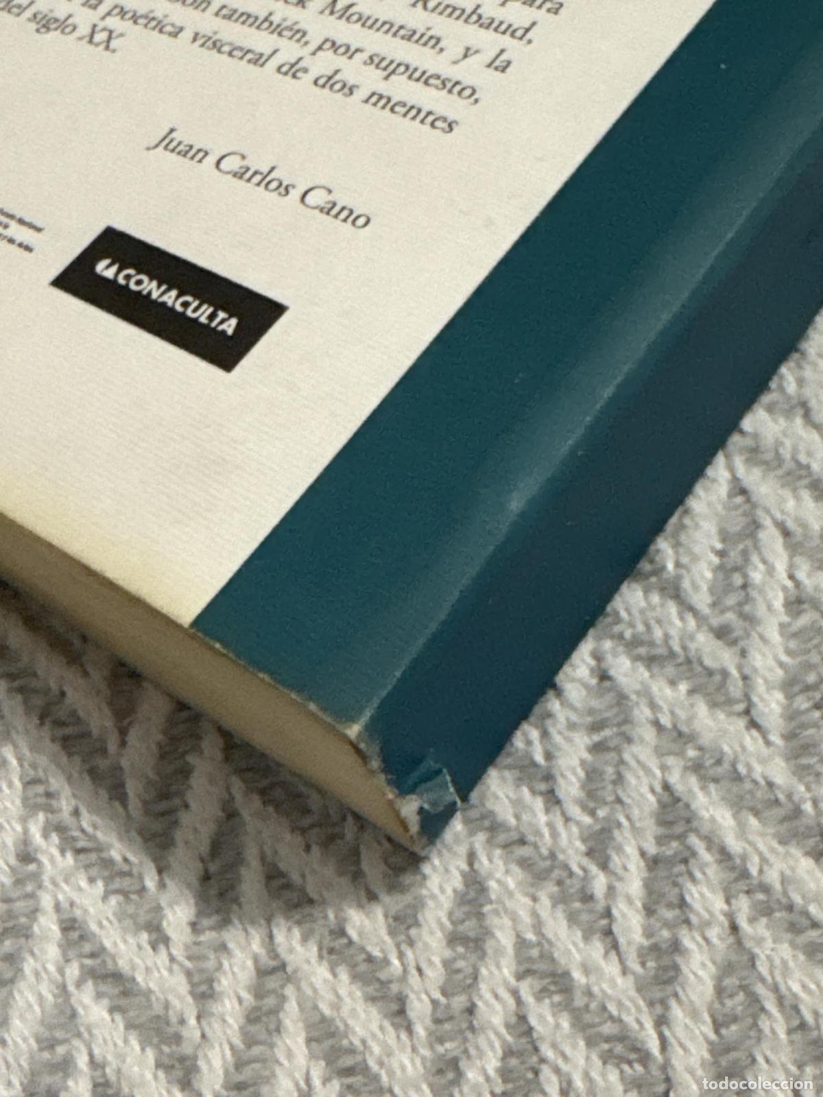 Libros: Cartas mayas - Robert Creeley Charles Olson - Foto 4