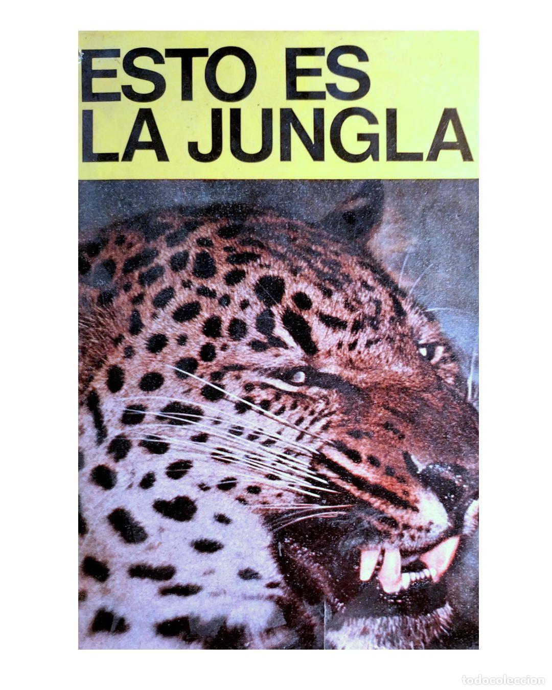 Libros: Esto es la jungla - Kenneth Anderson - Foto 2