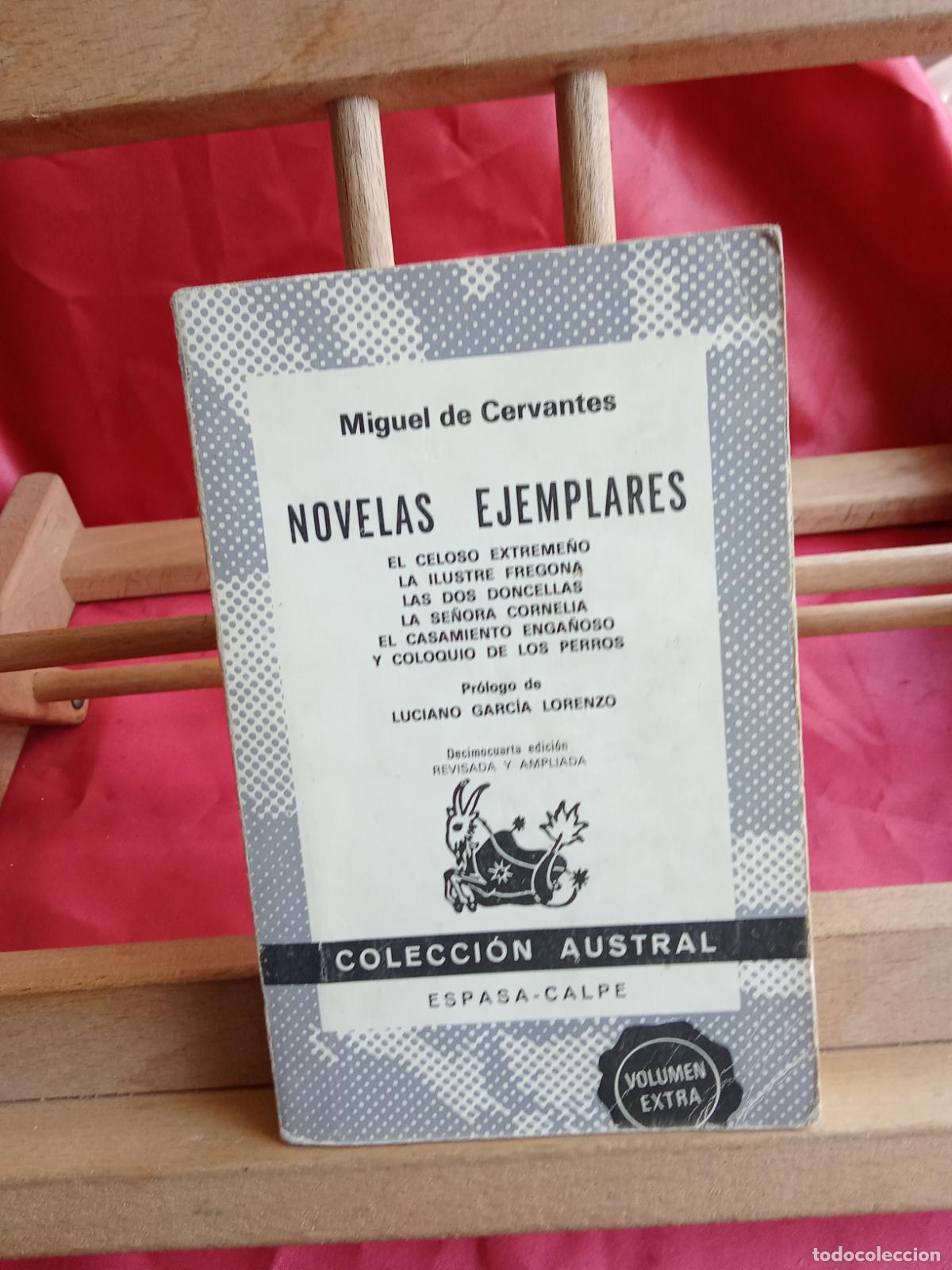 Libros: Novelas ejemplares. Miguel de Cervantes L.6611-1299