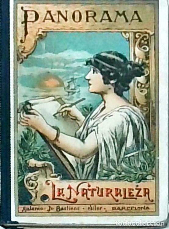 Libri di seconda mano: Panorama. Nuevo libro manuscrito que trata de la naturaleza y la civilizaci&oacute;n. 4&ordf; edici&oacute;n - BASTINOS