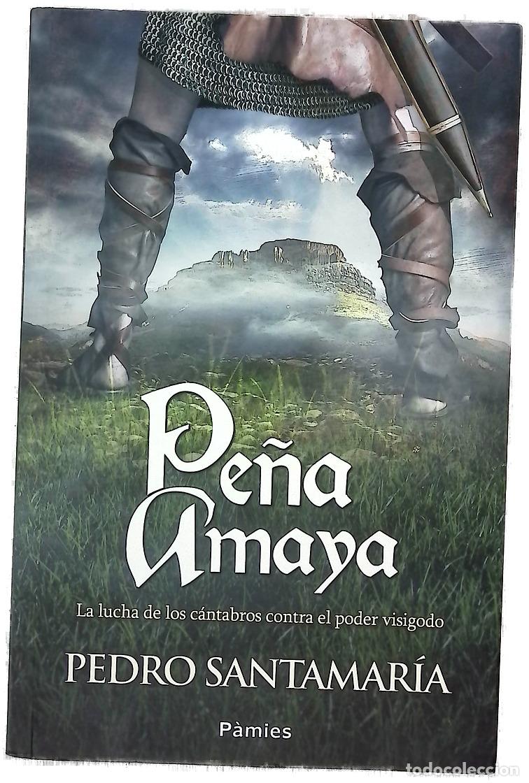 Libros: Pe&ntilde;a Amaya - Santamar&iacute;a, Pedro - Foto 1