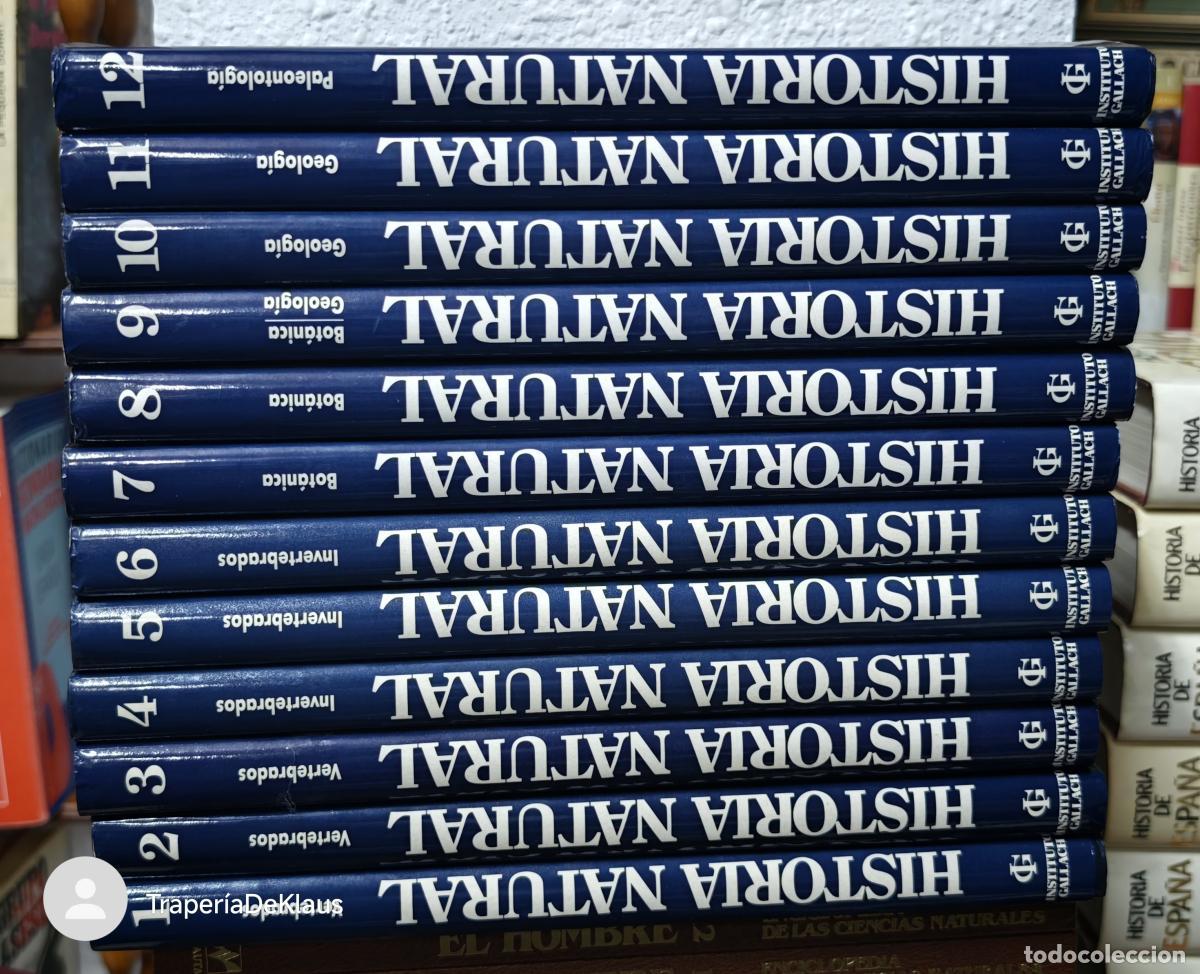 Libros: HISTORIA NATURAL 12 TOMOS INSTITUTO GALLACH EDITORIAL OCEANO 1994 - tdkpn -