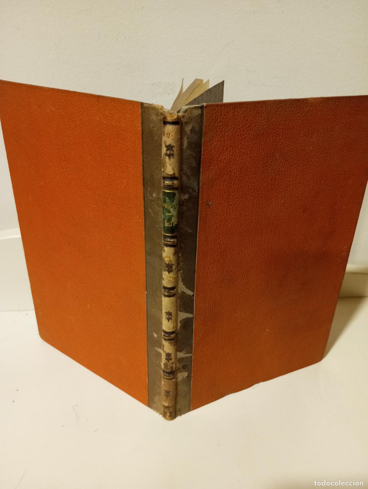 Libros: LOI SUR LA TUTELLE POUR LE CANTON DE BERNE