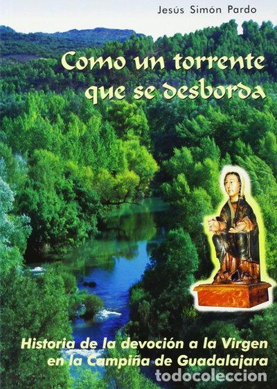Libros: Como un torrente que se desborda- 9788495179043