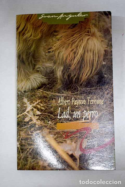 Livres: Lad, un perro: Terhune, Albert Payson.- Terhune, Albert Payson
