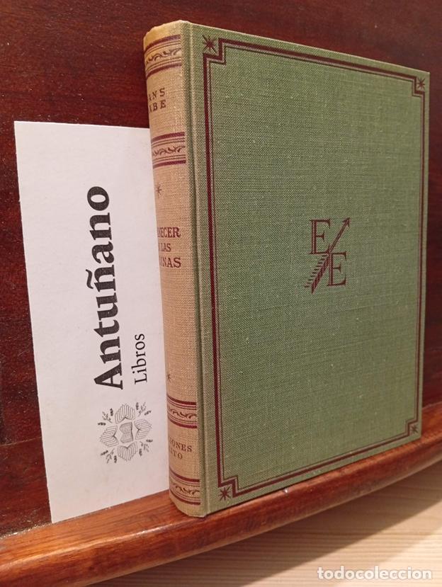 Libri di seconda mano: Amanecer en las ruinas