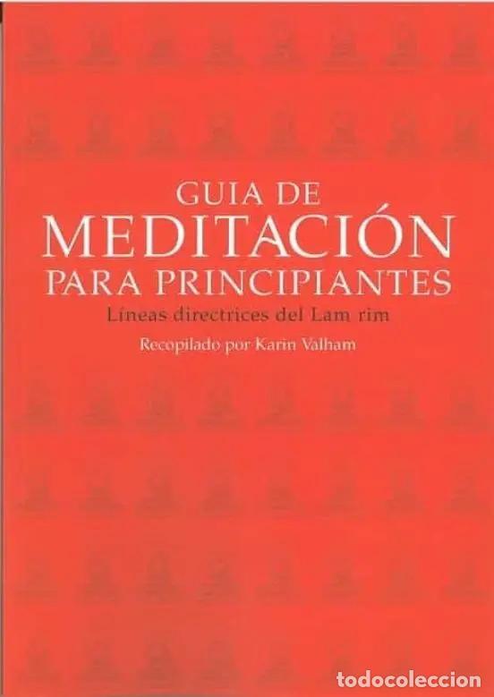 Livres: GUIA DE MEDITACION PARA PRINCIPIANTES (NE) - VALHAM , KARIN