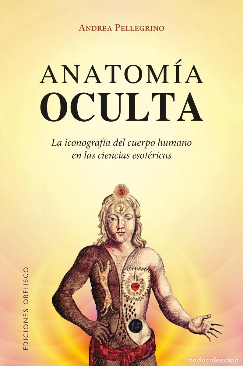 books: ANATOMIA OCULTA - ANDREA PELLEGRINO
