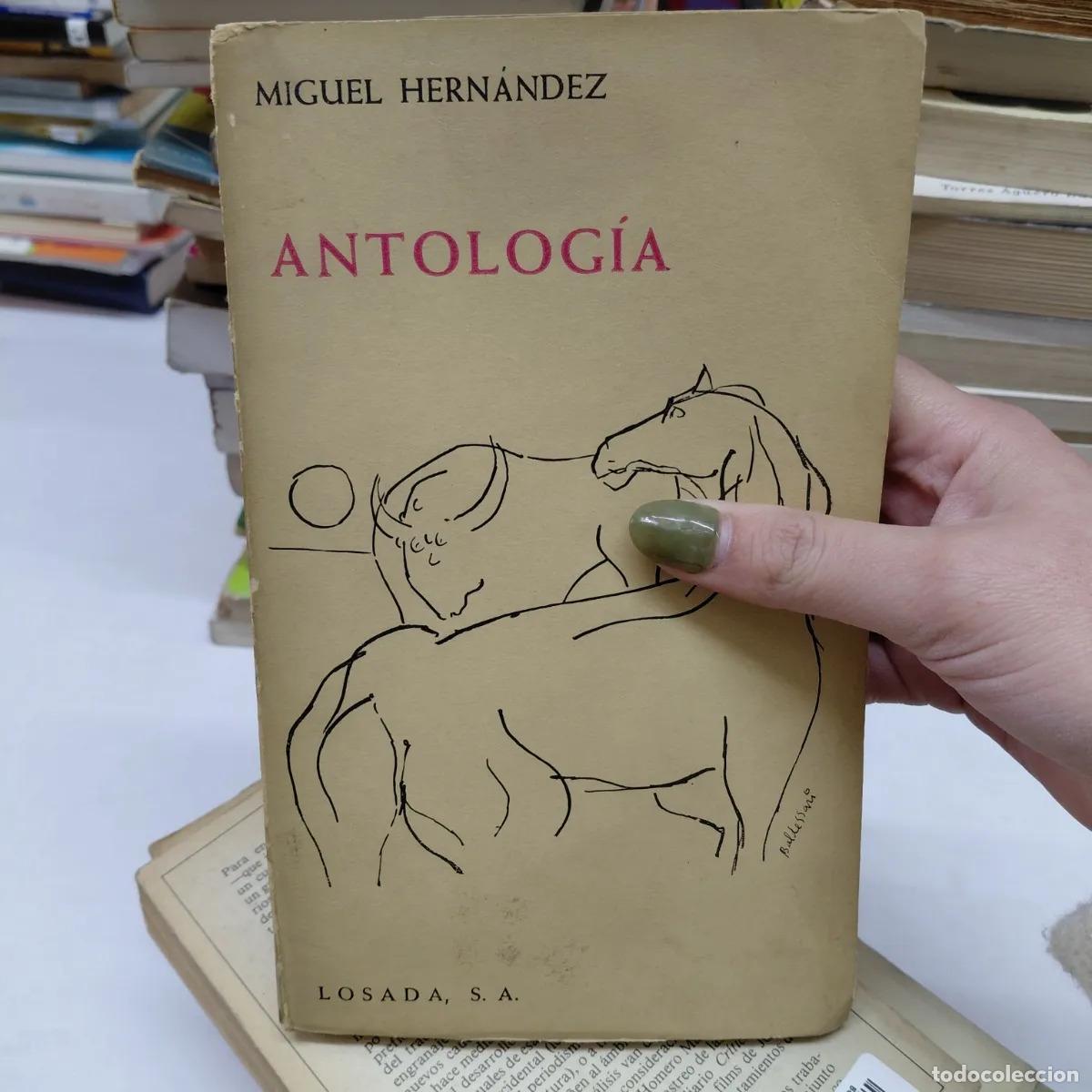 books: Antologia - Hernandez