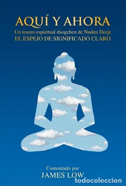 books: AQUI Y AHORA . UN TESORO ESPIRITUAL DSOGEHEN DE NUDEN DORJE - LOW , JAMES