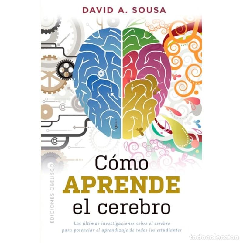B&uuml;cher: COMO APRENDE EL CEREBRO - DAVID ANTHONY SOUSA