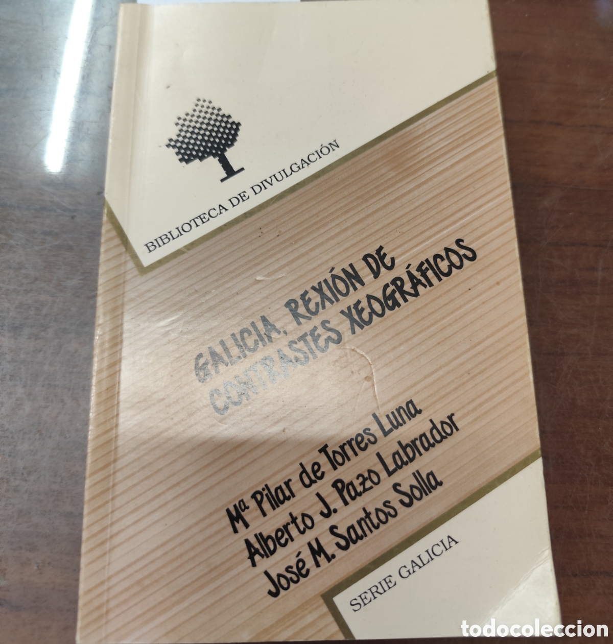 Libros: GALICIA. Rexi&oacute;n de contrastes xeogr&aacute;ficos. Biblioteca de Divulgaci&oacute;n. Serie Galicia - TORRES LUNA,M&ordf;