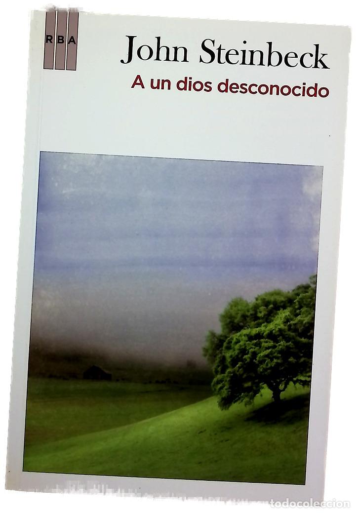 B&uuml;cher: A un dios desconocido - Steinbeck, John