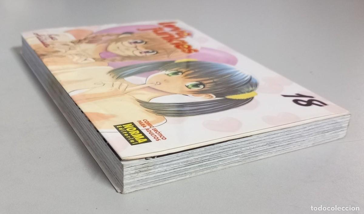 Libros: Love junkies 18. - HATSUKI, Kyo: - Foto 3