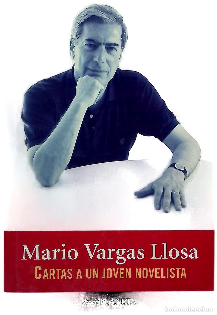 Libros: Cartas a un joven novelista