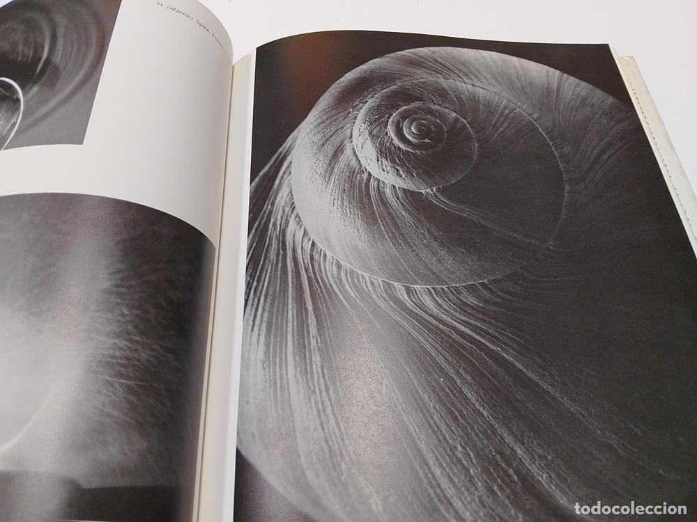 Libros: A Life in Photography: Edward Steichen - vvaa - Foto 2