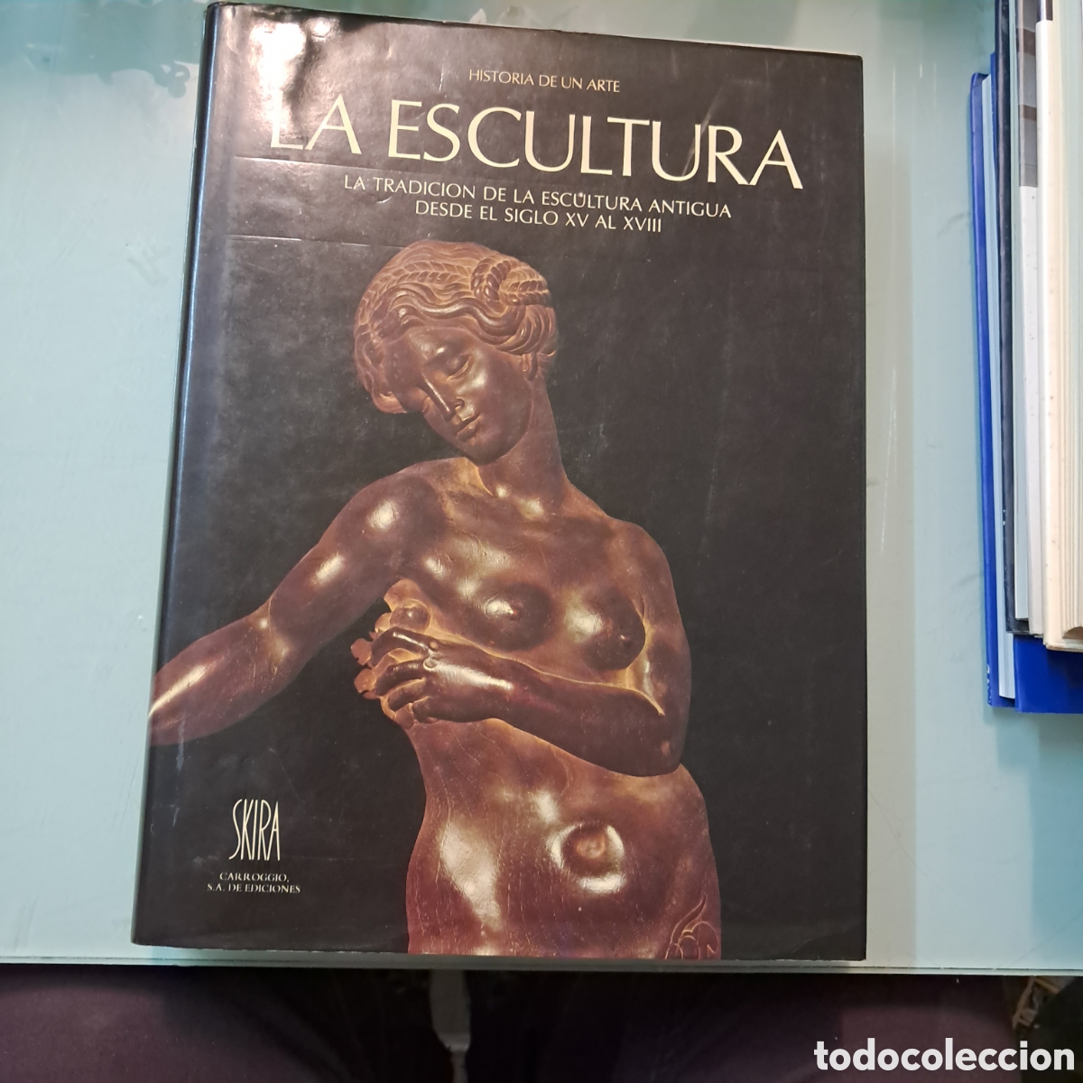 Libros: La escultura,La tradici&oacute;n de ka escultura antigua desde el siglo XV,Bernard Ceysson, Skira, Carroggi