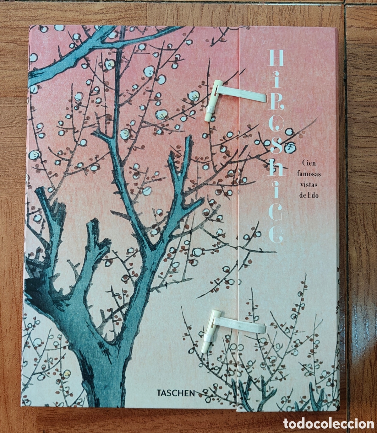 Livres: Hiroshige: Cien Famosas Vistas de Edo � Taschen - VV. AA.