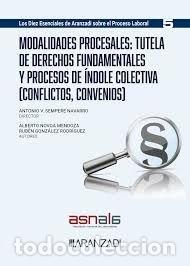 books: Modalidades procesales: tutela de derechos fundamentales y procesos de &iacute;ndole...- 9788410783928