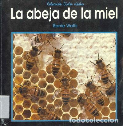 Libros: La abeja de la miel- 9788423636914 - Foto 1