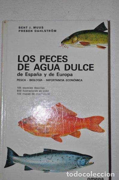 Libros: Los peces de agua dulce de Espa&ntilde;a- 9788428202404