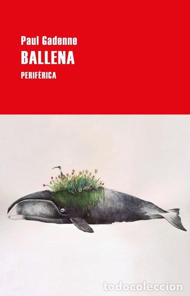 Libri di seconda mano: Ballena- 9788418264542