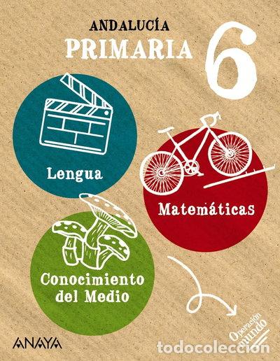books: Lo esencial 6 1- 9788414337257