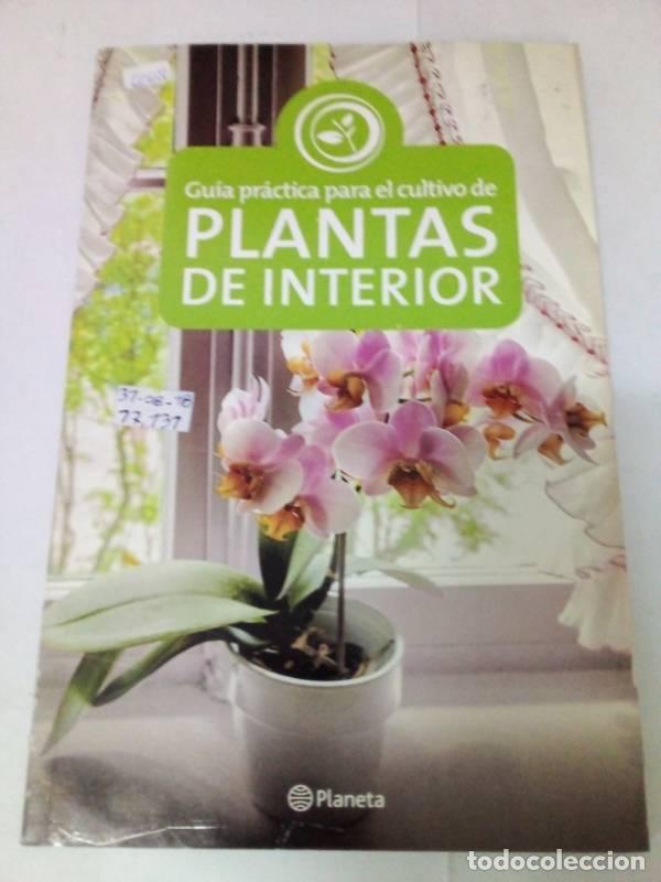 Livros em segunda m&atilde;o: Gu&iacute;a pr&aacute;ctica de plantas de interior - Contenidos Planeta Argentina