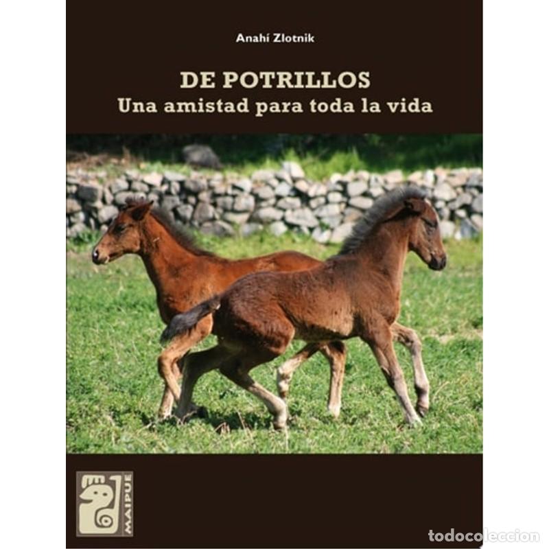 books: De potrillos Una amistad para toda la vida - ANAH&Iacute; ZLOTNIK