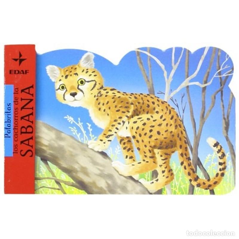 books: Los cachorros de la sabana - Emanuela Bussolati