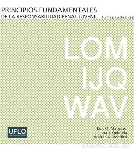 books: Principios Fundamentales De La Responsabilidad Penal Juvenil - Luis M&aacute;rquezy otros