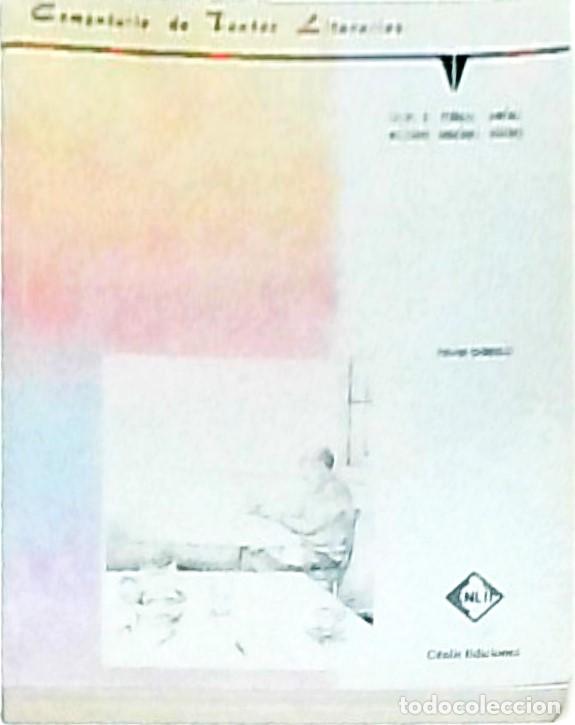 Libri di seconda mano: Comentario de textos literarios. Nivel b&aacute;sico - PEDRAZA JIMENEZ, Felipe B. y RODRIGUEZ CACERES, Mila