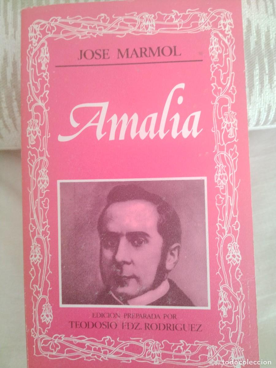 Libros: EDITORAL NACIONAL AMALIA