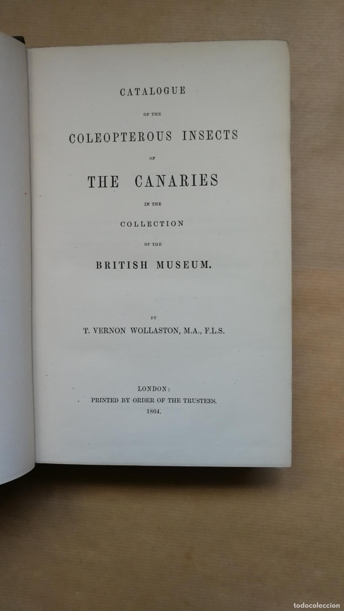 Libros: Catalogue of the Coleopterous Insects of the Canaries in the Collection of the British Museum - &rdquo;Wol
