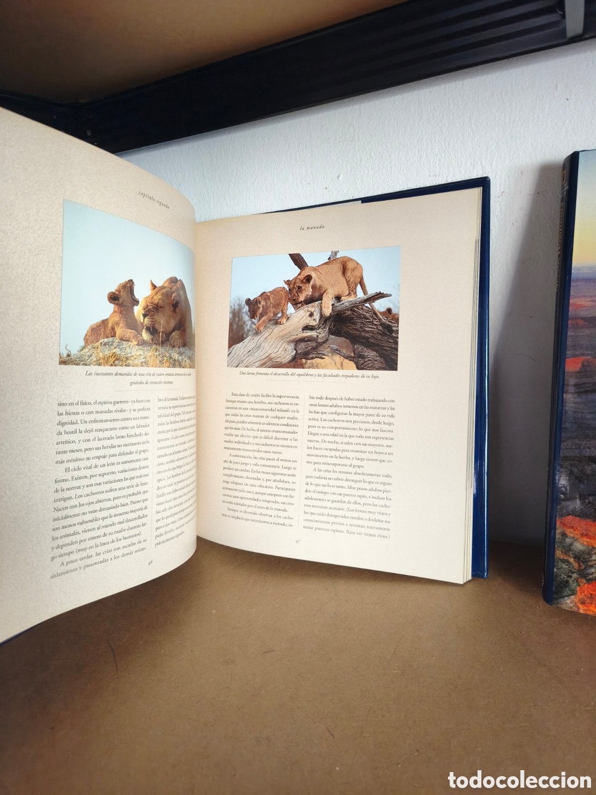 Libros: Nuevos horizontes misi&oacute;n en usa y cazando con la luna - Foto 2