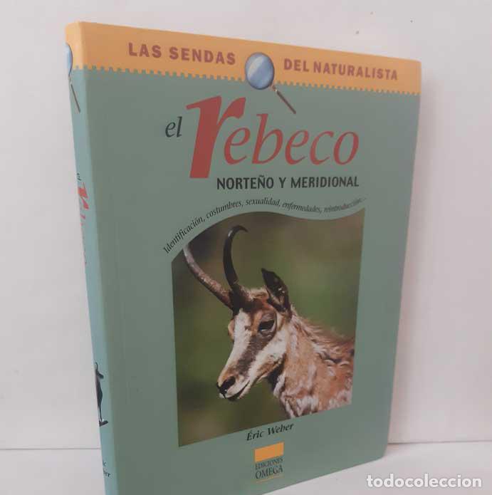 Libri di seconda mano: EL REBECO NORTE&Ntilde;O Y MERIDIONAL - WEBER, &Eacute;RIC
