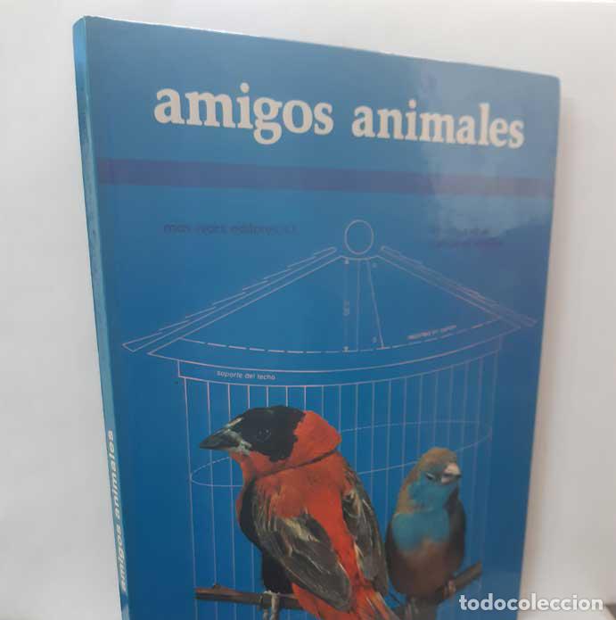 Livres: AMIGOS ANIMALES - EVERAERE, MARCEL - LETELLIER, FRAN&Ccedil;OISE