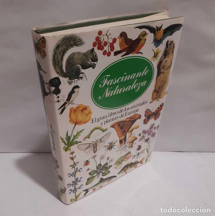 B&uuml;cher: FASCINANTE NATURALEZA. EL GRAN LIBRO DE LOS ANIMALES Y PLANTAS DE EUROPA - CHINERY, MICHAEL (DIR.)