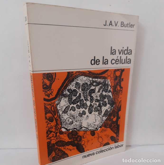 Libros: LA VIDA DE LA C&Eacute;LULA - BUTLER, J.A.V. - Foto 1